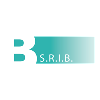 Société Régionale d'Investissement de Bruxelles (SRIB)