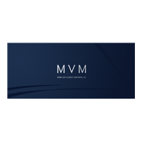 MVM Partners LLP