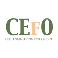 CEFO Co. Ltd.