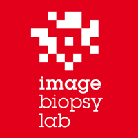 ImageBiopsy Lab