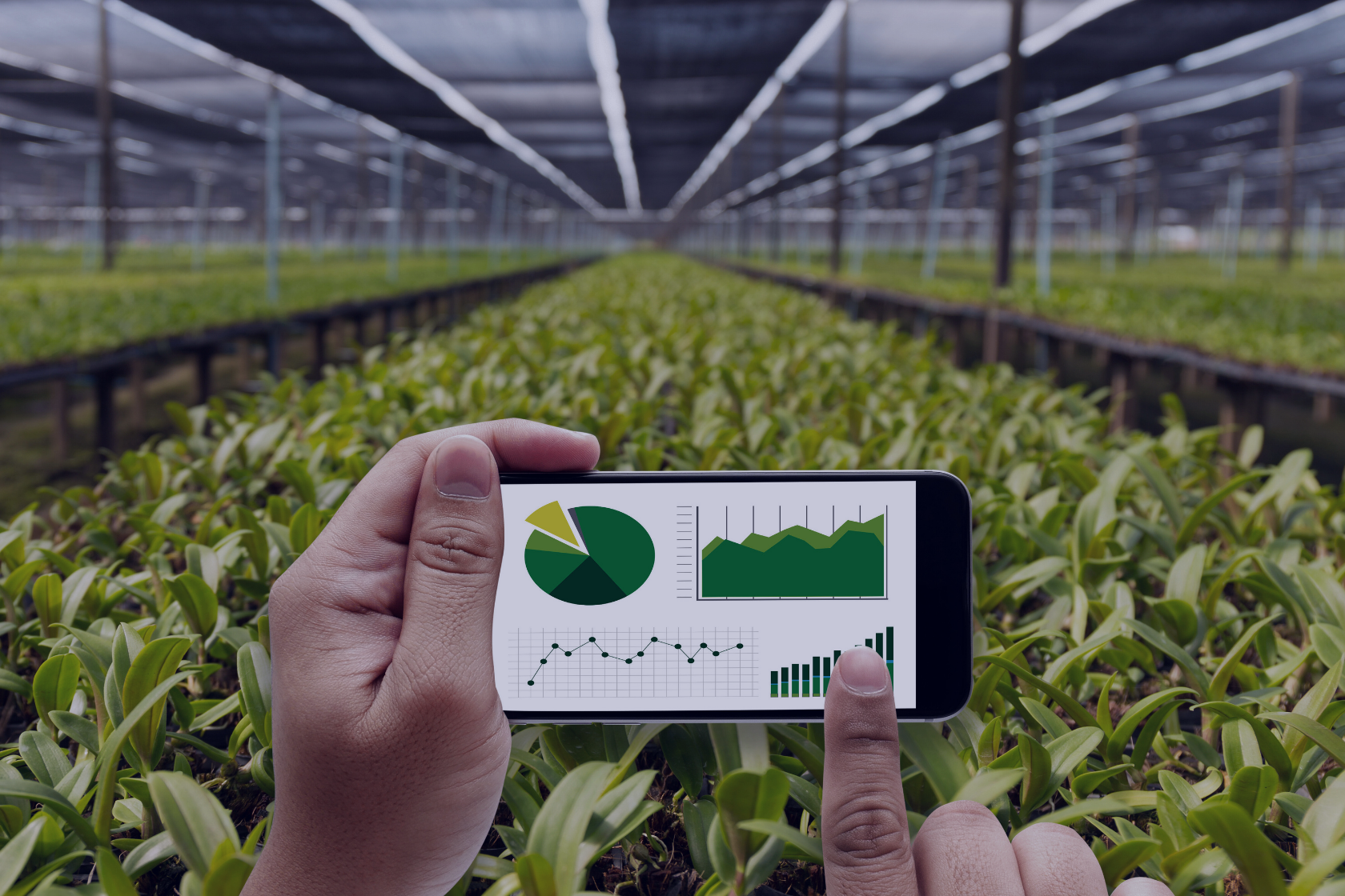 Golden Ticket II: Empowering Startups in Regenerative Agriculture with Bayer Crop Science