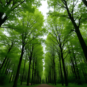 Circular-carbon capture and utilization